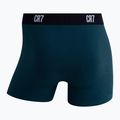 Vyriškos trumpikės CR7 Basic Trunk 7 pairs 2821 multicolor 4