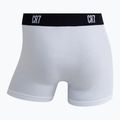 Vyriškos trumpikės CR7 Basic Trunk 7 pairs 2821 multicolor 8