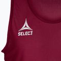 Vaikiški skiriamieji marškinėliai junior SELECT Basic bordiniai 6841002997 3