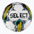 IŠSIRINKTI Pioneer TB v23 120072 dydis 4 futbolo 2