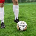 Futbolo kamuolys SELECT League v24 white/black dydis 4 2