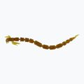 Westin BloodTeez Worm Teez guminis masalas 8 vnt. motoroil aukso spalvos P001-309-006
