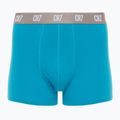 Vyriškos trumpikės CR7 Basic Trunk 3 pary black/ green/ light green 2