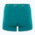Vyriškos trumpikės CR7 Bamboo Trunk FSC 3 pary multicolour 5