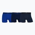 Vyriškos termoaktyvios trumpikės Dovre Tights 3 pack blue