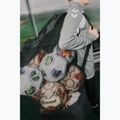 Maišas kamuoliams Hummel Core Ball black 7