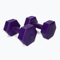 Meteor bituminiai hanteliai 2 x 2 kg violetinės spalvos 30166