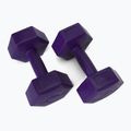 Meteor bituminiai hanteliai 2 x 2 kg violetinės spalvos 30166 2