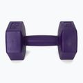 Meteor bituminiai hanteliai 2 x 2 kg violetinės spalvos 30166 4