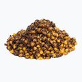 Carp Target grūdų mišinys Kukurūzai-Kongo-Rubarbarai-Riešutai 25% 0013 2