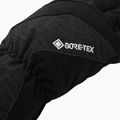 Moteriškos slidinėjimo pirštinės Viking Monterosa GTX Ski black 150231614 4