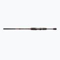 Spiningo meškerė DRAGON Fishing Express Spinn 25