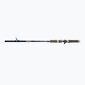 Spiningo meškerė DRAGON Fishing G.P.Concept Jerk 80H 2