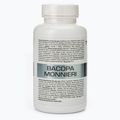 Priedas 7Nutrition Bacopa Monnieri 550 mg 60 kapsulių 2