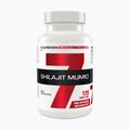 Priedas 7Nutrition Shilajit Mumio 400 mg 120 kapsulių