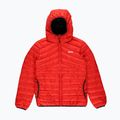 Vyriška žieminė striukė PROSTO Ultralight red