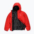 Vyriška žieminė striukė PROSTO Ultralight red 3