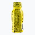 Trec Boogieman prieš treniruotę 100ml tropinių vaisių TRE/620 3
