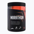 Trec Endu Marathon 400g aviečių ir mėtų prieš treniruotę TRE/915