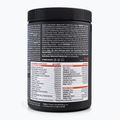 Trec Endu Marathon 400g aviečių ir mėtų prieš treniruotę TRE/915 3
