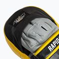 Treniruotės letenos treneriui StormCloud Rapid black/yelow 5