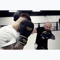Bokso pirštinės StormCloud Boxing Pro black/gold 12