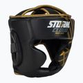 Bokso šalmas StormCloud Lynx black/gold