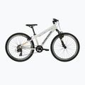 Vaikiškas dviratis KROSS Dust Jr 1.0 grey/black/gloss