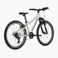 Vaikiškas dviratis KROSS Dust Jr 1.0 grey/black/gloss 3