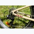 Vaikiškas dviratis KROSS Level Jr 1.0 beige/red/gloss 13