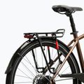 Vyriškas žygio dviratis KROSS Trans 5.0 brown/silver/gloss 11
