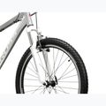 Moteriškas kalnų dviratis KROSS Lea 1.0 silver/white/gloss 5