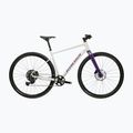 Gravel dviratis KROSS Esker 1.0 FL grey/purple/gloss