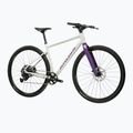 Gravel dviratis KROSS Esker 1.0 FL grey/purple/gloss 2
