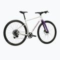 Gravel dviratis KROSS Esker 1.0 FL grey/purple/gloss 3