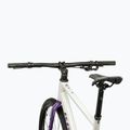 Gravel dviratis KROSS Esker 1.0 FL grey/purple/gloss 4