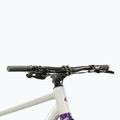 Gravel dviratis KROSS Esker 1.0 FL grey/purple/gloss 5