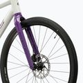 Gravel dviratis KROSS Esker 1.0 FL grey/purple/gloss 6