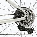 Gravel dviratis KROSS Esker 1.0 FL grey/purple/gloss 10
