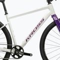 Gravel dviratis KROSS Esker 1.0 FL grey/purple/gloss 11
