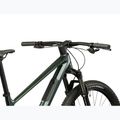 Kalnų dviratis KROSS Level RS 1.0 green/chameleon/gloss 10