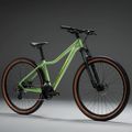 Moteriškas kalnų dviratis KROSS Lea X200 W 29 green/green/matte 10