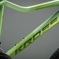Moteriškas kalnų dviratis KROSS Lea X200 W 29 green/green/matte 12