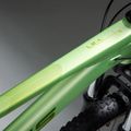 Moteriškas kalnų dviratis KROSS Lea X200 W 29 green/green/matte 13