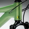 Moteriškas kalnų dviratis KROSS Lea X200 W 29 green/green/matte 14