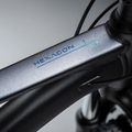 Kalnų dviratis KROSS Hexagon X200 29" grey/blue/matte 14