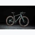 Gravel dviratis KROSS Esker ADV 3.0 green-gray/silver/matte 14