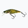 Salmo bulius S bulius vobleris QBD003