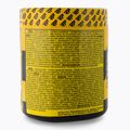 Real Pharm prieš treniruotę Unreal 360g juodųjų serbentų-citrusų 700957 2