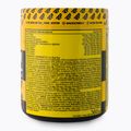 Real Pharm prieš treniruotę Unreal 360g juodųjų serbentų-citrusų 700957 3